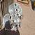 Chevy Aluminum Wheels (1 Pair) 9 thumbnail