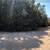 Land FOR SALE ARKANSAS TROPHY LOT | PRIVATE CORNER LOT Owner Finance 2 thumbnail