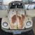 1969 VW Beetle 14 thumbnail