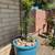 Payless Landscape & Irrigation Services LLC 16 thumbnail