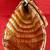 JALDA FAUX-CROC EMBOSSED HANDBAG W GOLD CHAIN, ORANGE 7 thumbnail