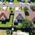 Spacious 4BR/3BA in Sharyland ISD! 12 thumbnail