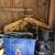 Antique Allis Chalmers Garden Tractor 3 thumbnail