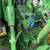 2010 JOHN DEERE 7130 TRACTOR PREMIUM DELUXE – 125 HP – LOW HOURS 12 thumbnail