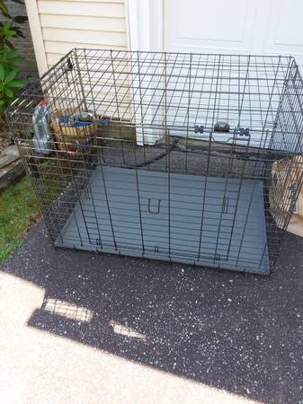Dog Crate 1