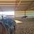 Horse Boarding 2 thumbnail