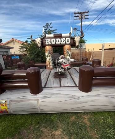 Mechanical bull 1