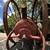 Antique Fire Hose Cart & Extinguisher GA20133 6 thumbnail