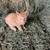 Barn kittens 1 thumbnail