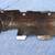 1968-1979 CORVETTE LH OUTER REAR LOWER IGNITION SHIELD 7 thumbnail