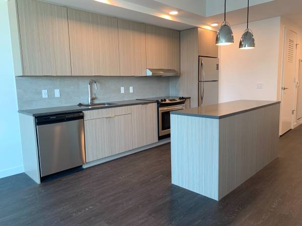 Ideal 1 Bed 1 Bath with Big Windows and Downtown Views - #2317 1