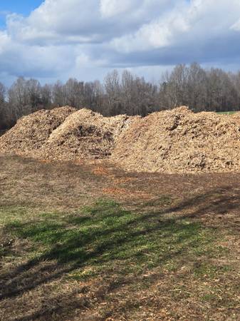 Mulch 1