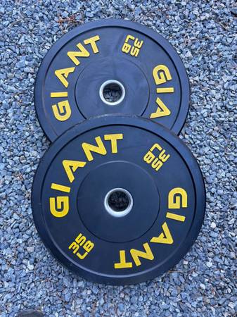 Bumper Plates 1