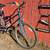 Trek 820 Mountain Track 21 Speed Womans step through frame Mtn 20.5 in 8 thumbnail