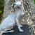 Blue Sphynx 4 thumbnail