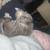 1 year old cat 1 thumbnail