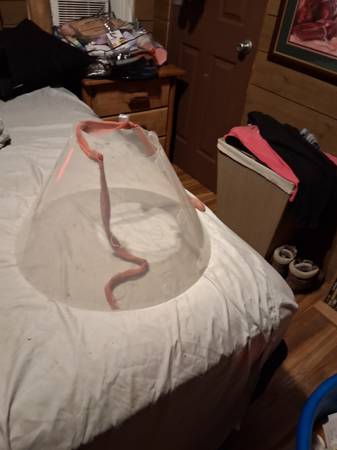 Large Elizabethian Collar (Beaverton)63958423270531120