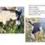 ***Goats for SALE*** 2 thumbnail