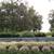 Cemetery Plots @ Washington National Cemetery double depth Maryland 1 thumbnail