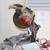 Secondhand Ridgid MS1050 Miter Saw (Local Pick-only) 2 thumbnail