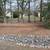 Affordable,Clean ups,log split,tree removal,&More 610-961-2045 9 thumbnail