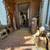 3 bedroom Victorian house with garden 8 thumbnail