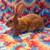 Bunny 2 thumbnail