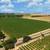 72+ Acre Irrigated Farmland with Development Potential! 5 thumbnail