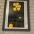 FRAMED Death Cab for Cutie Death & Dismemberment Show Poster - '02 1 thumbnail