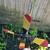 Old Cowboy Whirligig. 6 thumbnail