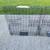 Squirrel Trap - Predator Guard Squirrel Guard Trap 7 thumbnail