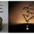 Shadow Casting Candles Candle Oil Lamp Oil Lamps 13 thumbnail