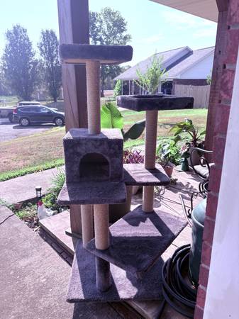 Cat Tower / Condo 1