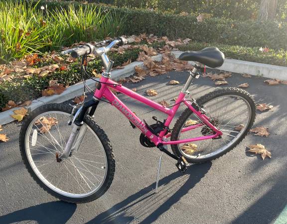 Diamond Back Women’s Mountain Bike 1