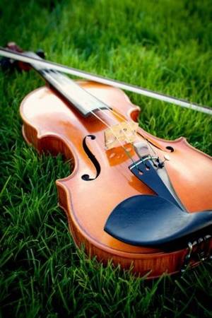 Violin Lessons with Jared MacFarlane 1