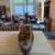 Beautiful Wooden Seguin Tugboat 38" Length x24" Height x 8" beam/Width 3 thumbnail