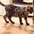 Kittens 2 thumbnail