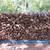 Firewood 3 thumbnail