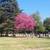 Cemetery Property Owners - Mountain View Cemetery 2 thumbnail