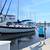 Bruce Roberts  34’  Coastal Cutter ( Reduced) 1 thumbnail