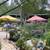 Great multiple Umbrellas great colors 12 thumbnail