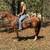 Gentle Quarter Horse Gelding Broke to Ride - Lucky 1 thumbnail