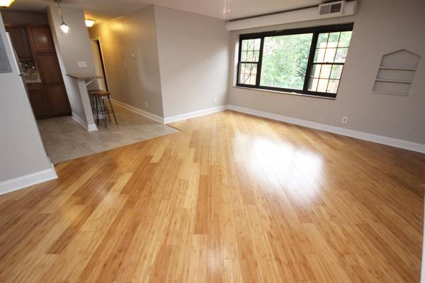 $1,849 / 2br - ✨ INCREDIBLY RENOVATED 2 BR In Shadyside On 5th Ave!  ✨ (Shadyside, Pittsburgh)64013531996419121