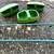 Omlet Chicken Coop and Huge enameled wire RUN 15 thumbnail