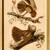 Audubon - Octavo original 14 thumbnail