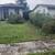 basic trimming, landscape and gardening 4 thumbnail