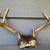 Rustic Antler Mounts - Set of 4 for Cabin/Den Decor 6 thumbnail