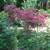Home at last, private entrance in quiet single family neighborhood. 8 thumbnail