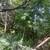 Vacant lot for sale 5 thumbnail