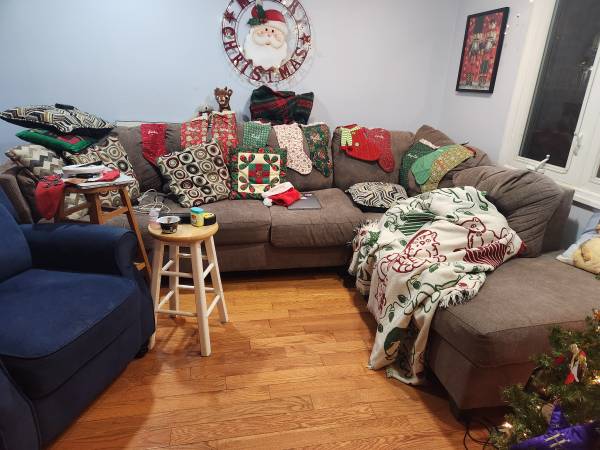 Free sectional couch 1
